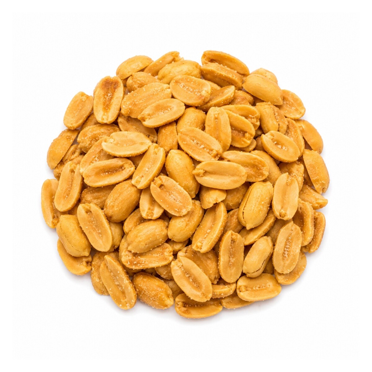 MANI FRITO CON SAL 100G 