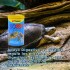 ALIMENTO PARA TORTUGAS ACUÁTICAS Y SEMIACUÁTICAS BIOREPT 30GR ALIMENTO PARA TORTUGAS ACUÁTICAS Y SEMIACUÁTICAS BIOREPT 30GR