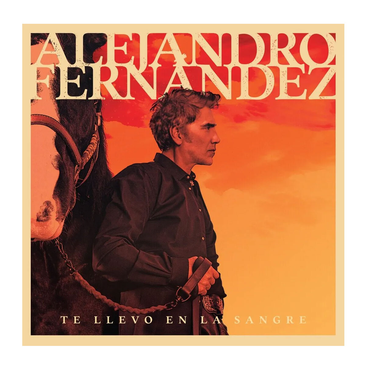 Fernandez,alejandro / Te Llevo En La Sangre - Cd 