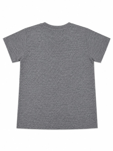 REMERA SIMIL THIAGO GRIS MELANGE M