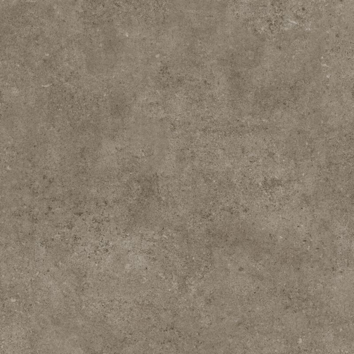 PORCELANATO RECTIFICADO 61 X 61 - BARCELONA NATURALE 