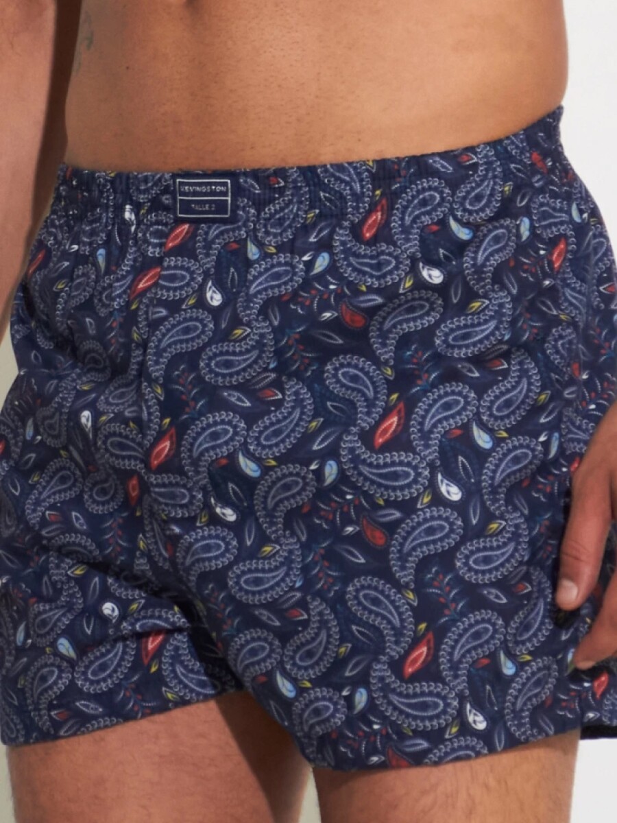 Bóxer Kevingston - DAN 