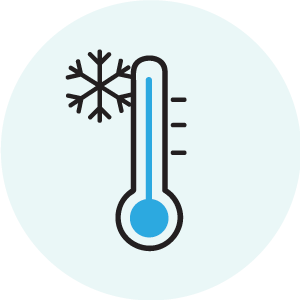 Team Invierno
