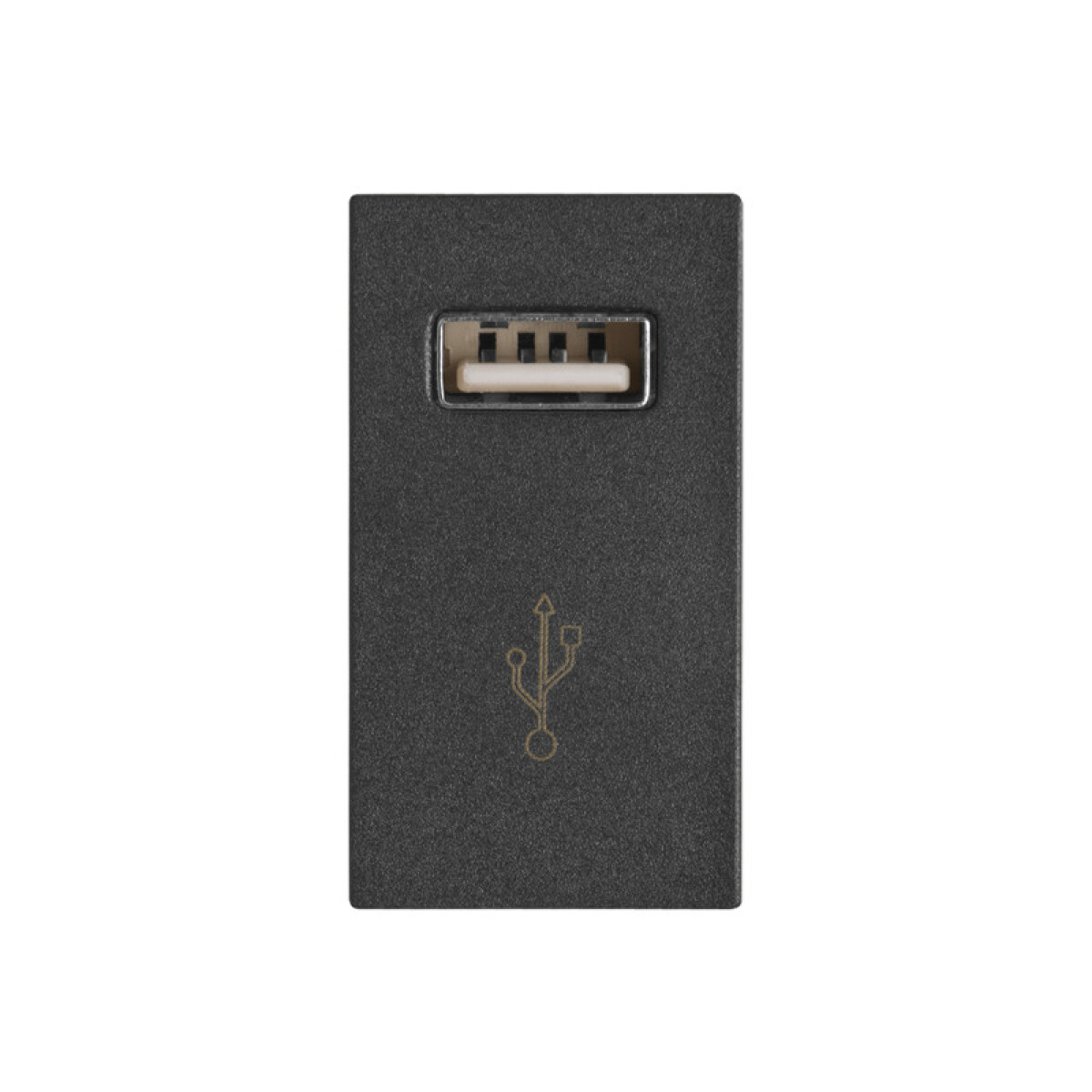 Módulo cargador USB 230V 1A 5Vdc - Duomo grafito - C56478 