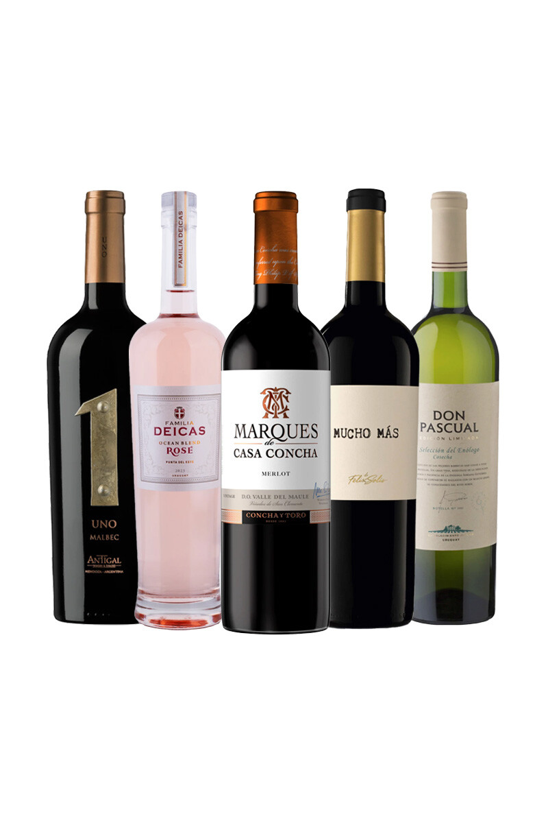Pack Selección Variedades Protagonistas x5 vinos Mix 