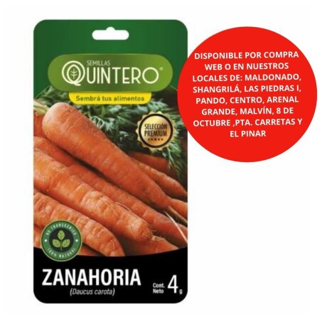 Semillas Zanahoria x 4g