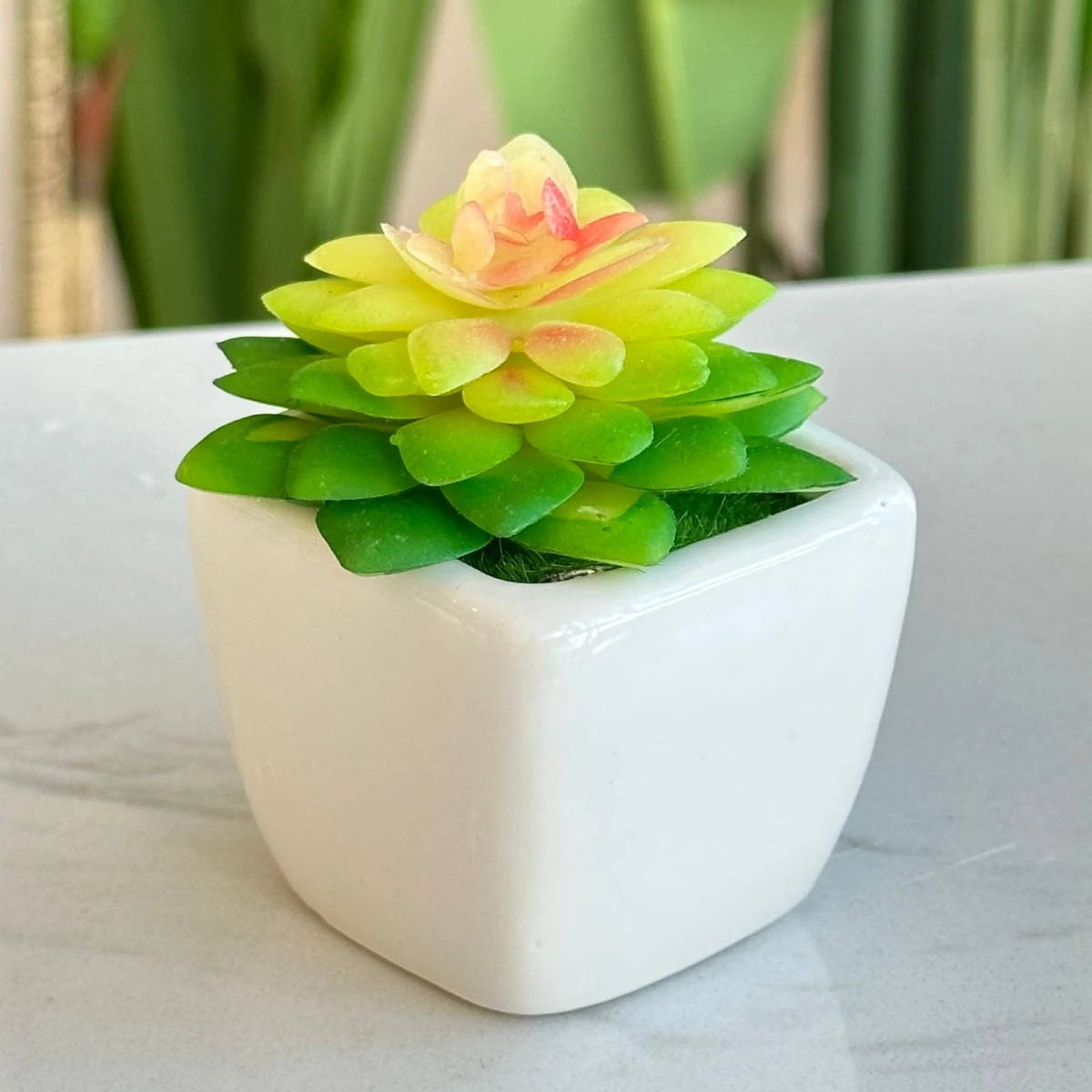 Planta Suculenta Artificial Maceta Cerámica Alto 7cm x Ancho 5cm 