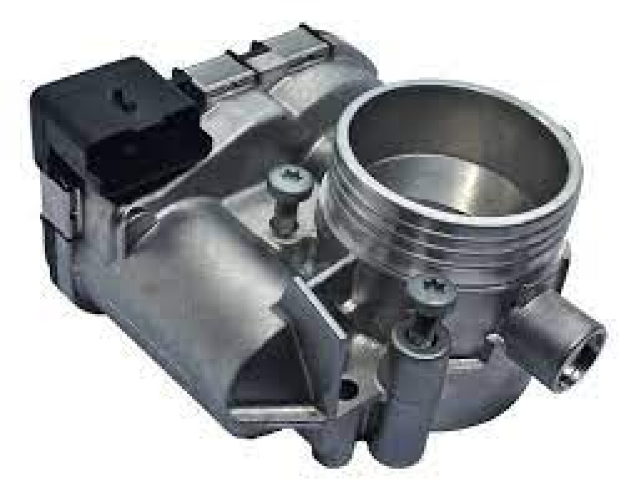 0280750540.jpg