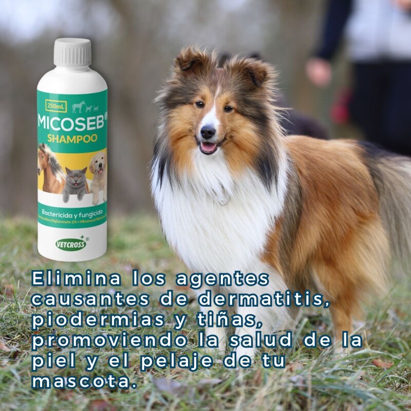 MICOSEB SHAMPOO 250 ML MICOSEB SHAMPOO 250 ML