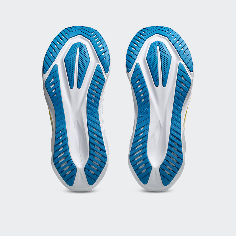 Championes Asics Novablast 5 Gris