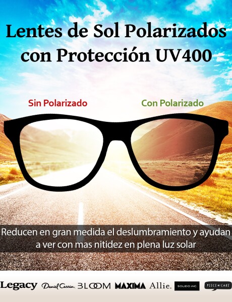 Lentes de sol polarizados Legacy protección UV400 Azul Oscuro/Marron