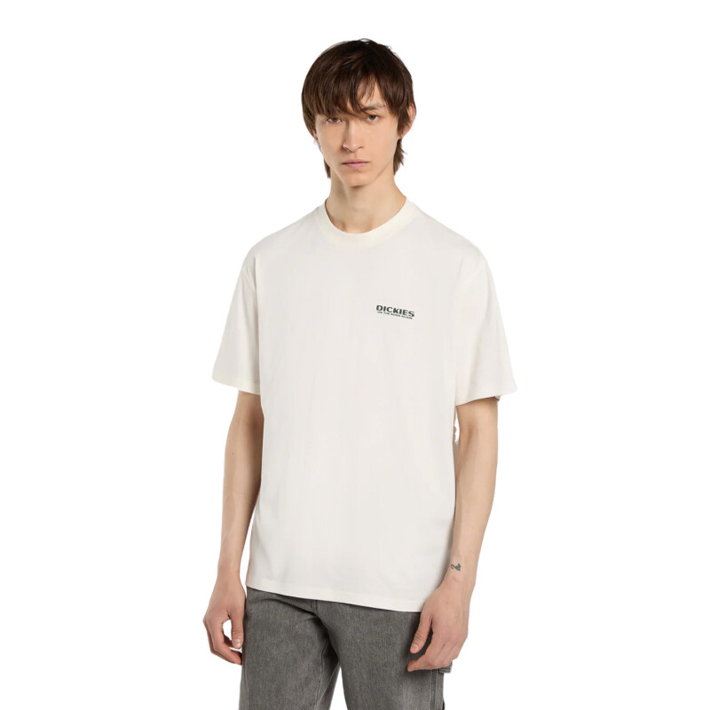 Remera Dickies Burns - Multicolor Remera Dickies Burns - Multicolor