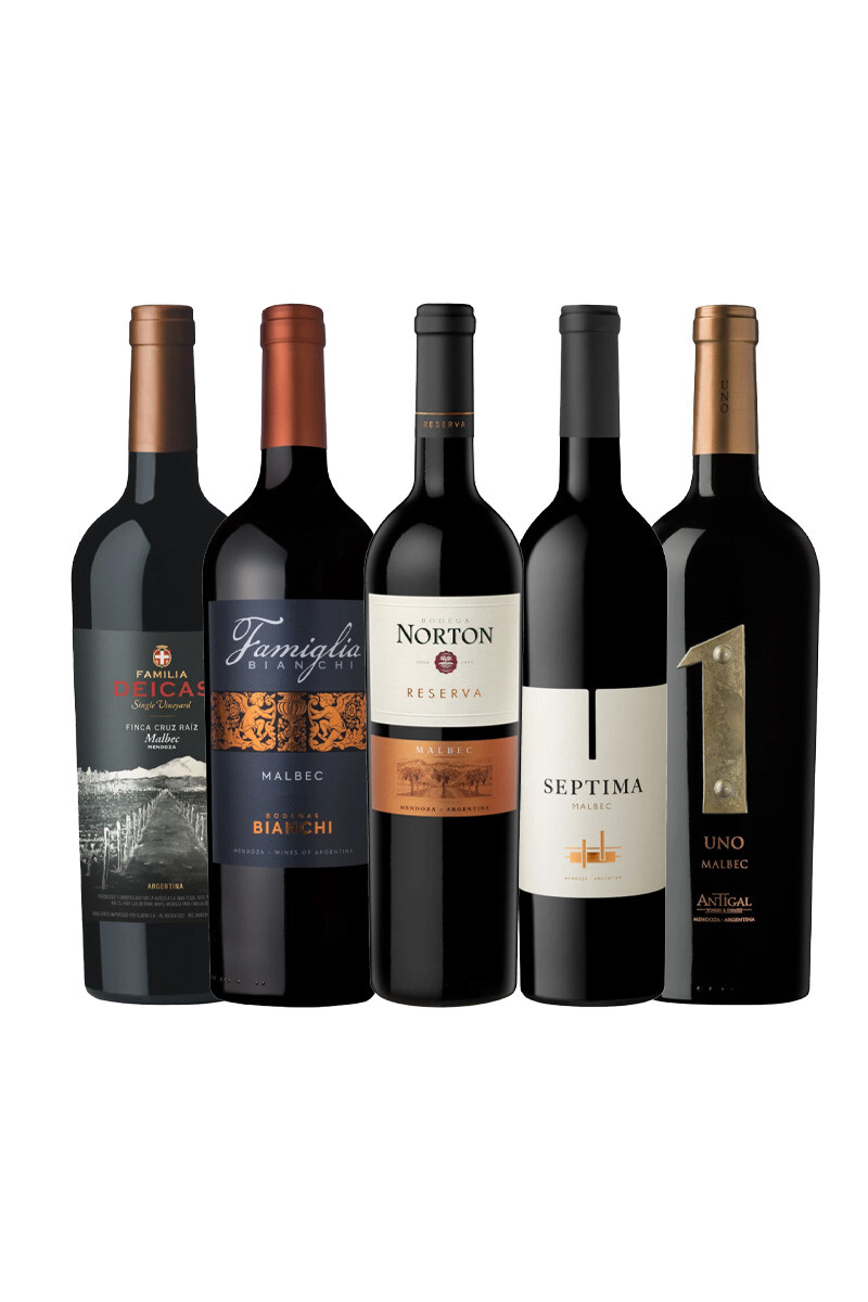 Pack Selección Best Seller x5 vinos premium 