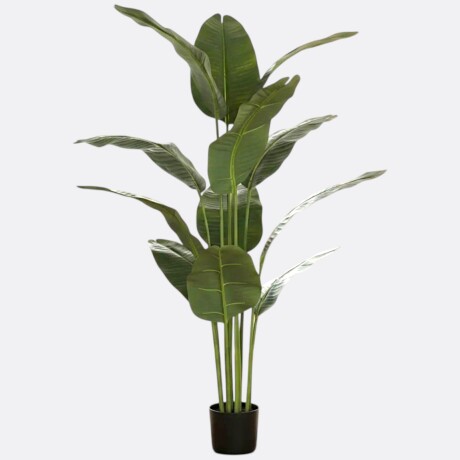 Planta Palmera Artificial Hoja Redonda Planta Palmera Artificial Hoja Redonda