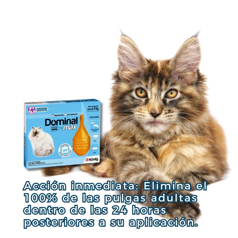 PIPETA ANTIPULGAS Y ANTIGARRAPATAS DOMINAL MAX GATOS + 4KG PIPETA ANTIPULGAS Y ANTIGARRAPATAS DOMINAL MAX GATOS + 4KG