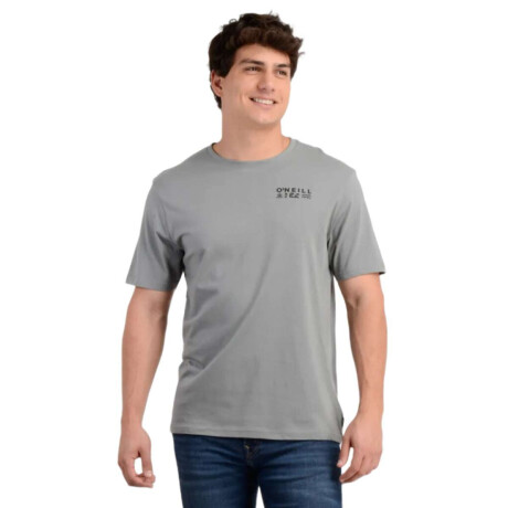 Remera Oneill Glyphs Gris