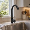 Grifería de Cocina Monocomando de Mesada Noar Pico Alto Negro Mate Grifería De Cocina Monocomando De Mesada Noar Pico Alto Negro Mate