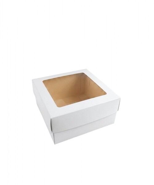 Caja 20x20x9,5 c/visor. BLANCO