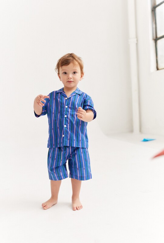 Camisa Sunny Azul Rayado