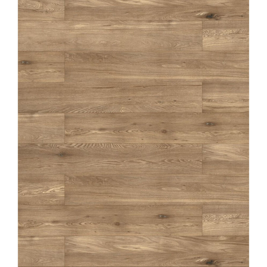 Porcelanato Giardino Be Hard Porcelanato Giardino Be Hard