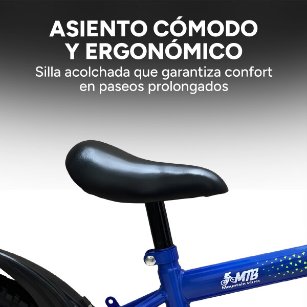 Bicicleta Infantil Sport Rod 20 Canasto Guardabarro Rueditas Azul 1