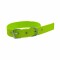 COLLAR CINTA N° 2 VERDE MANZANA