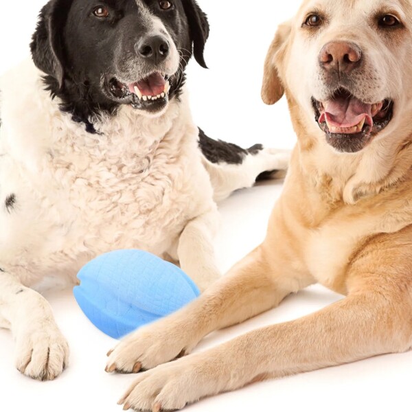 Juguete Perro Tipo Hueso Mordible Resistente Estimulante Variante Color Celeste