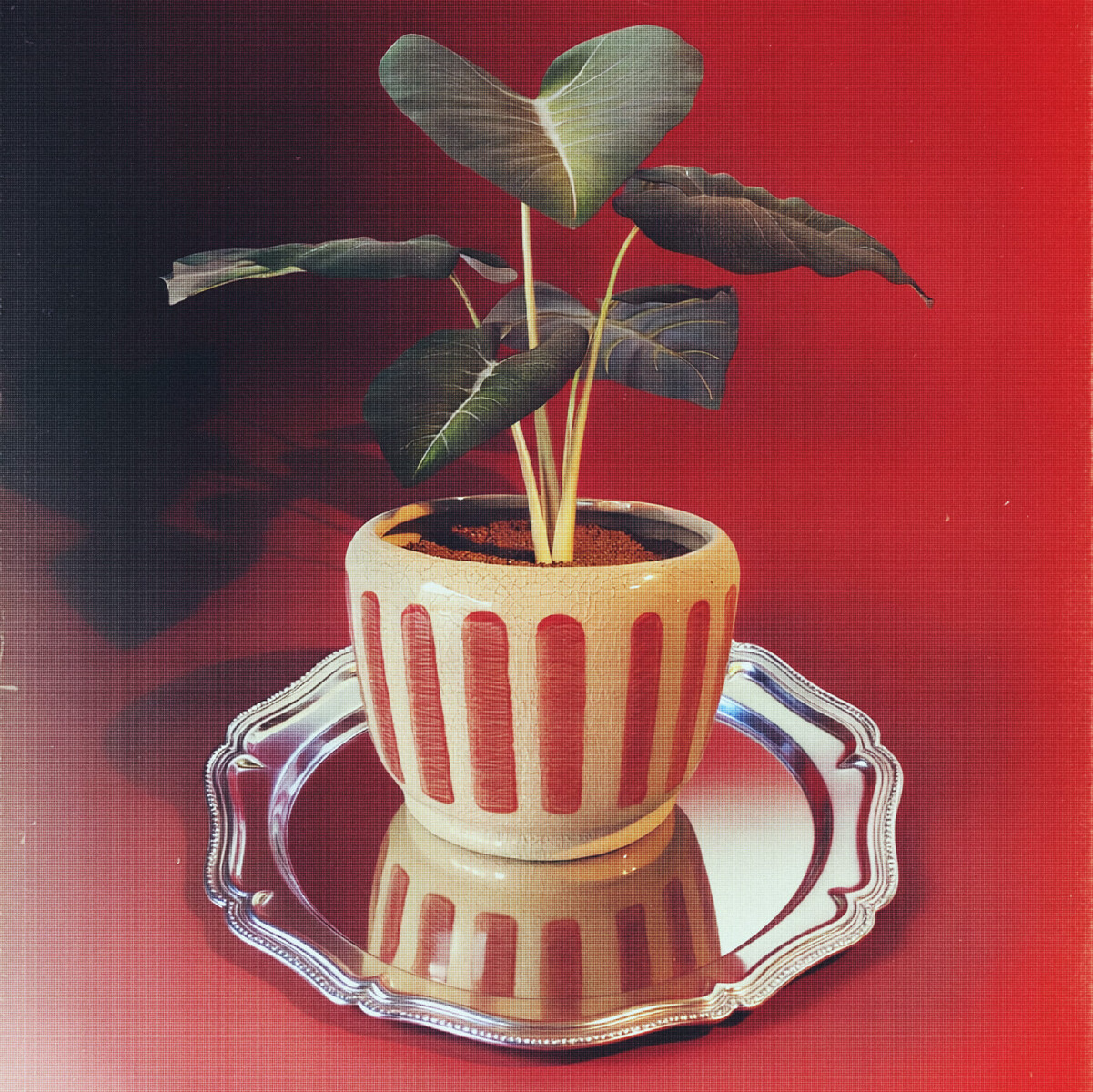 Maceta de cerámica Toscana - Rojo - rojo 