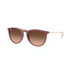 Ray Ban Rb4171 6815a5