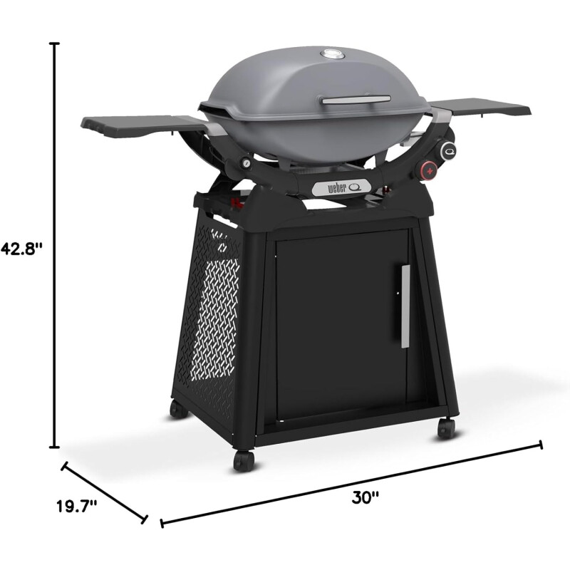 Weber Q2800 Gris Weber Q2800 Gris