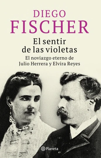 El sentir de las violetas El sentir de las violetas