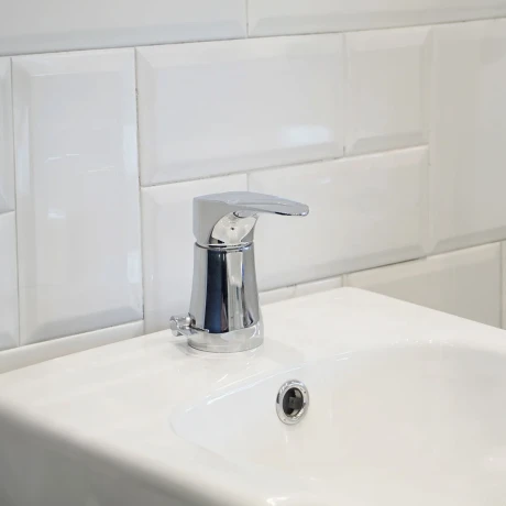 Griferia De Bidet Con Transferencia Y Desague Iguazu Fv 000