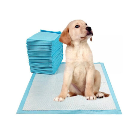 Pañales Entrenamiento Mascotas 60x60cm Sabanilla Absorbente x10 unidades Pañales Entrenamiento Mascotas 60x60cm Sabanilla Absorbente x10 unidades