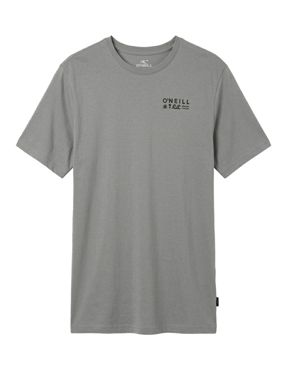 Remera O'Neill Glyphs Gris 