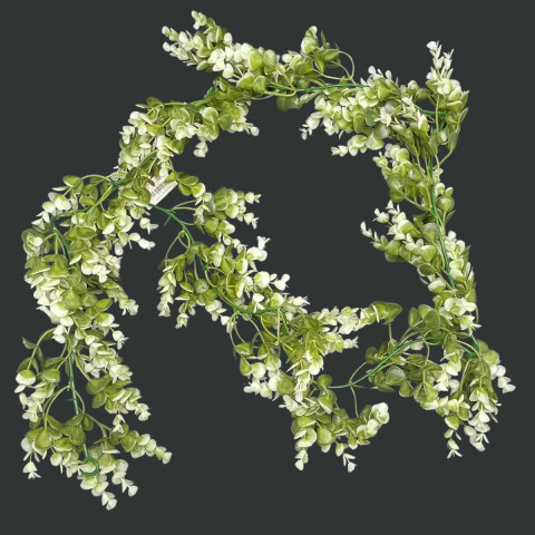 Guia de Hojas de Eucalipto Guia de Hojas de Eucalipto