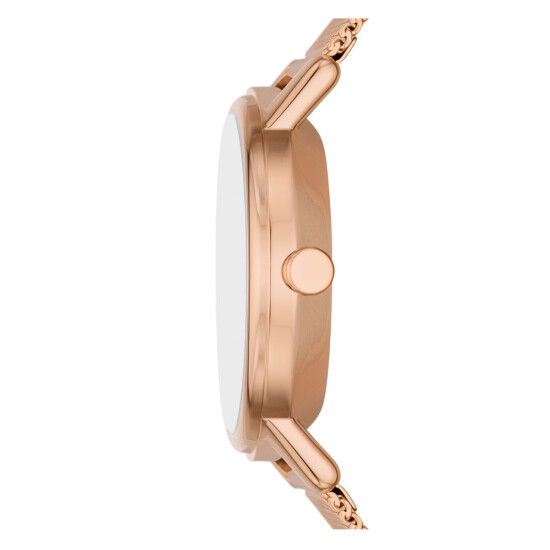 Reloj Skagen Kuppel Lille Acero Oro Rosa SKW3099 0