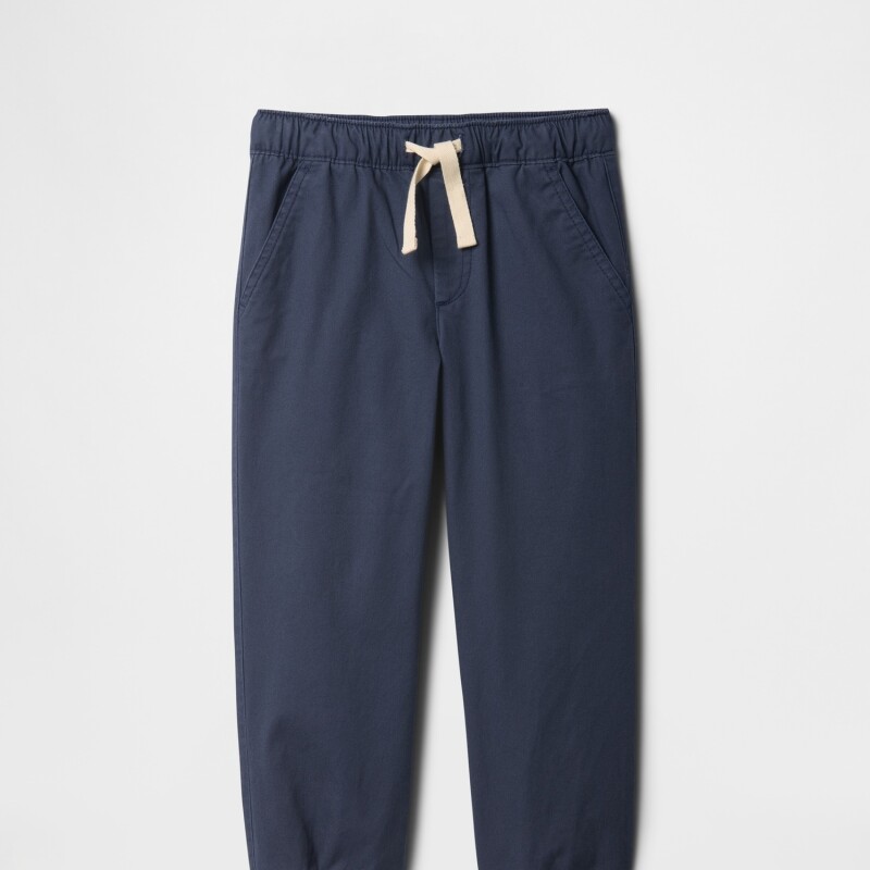 V-PO WVN JGR VINTAGE NAVY