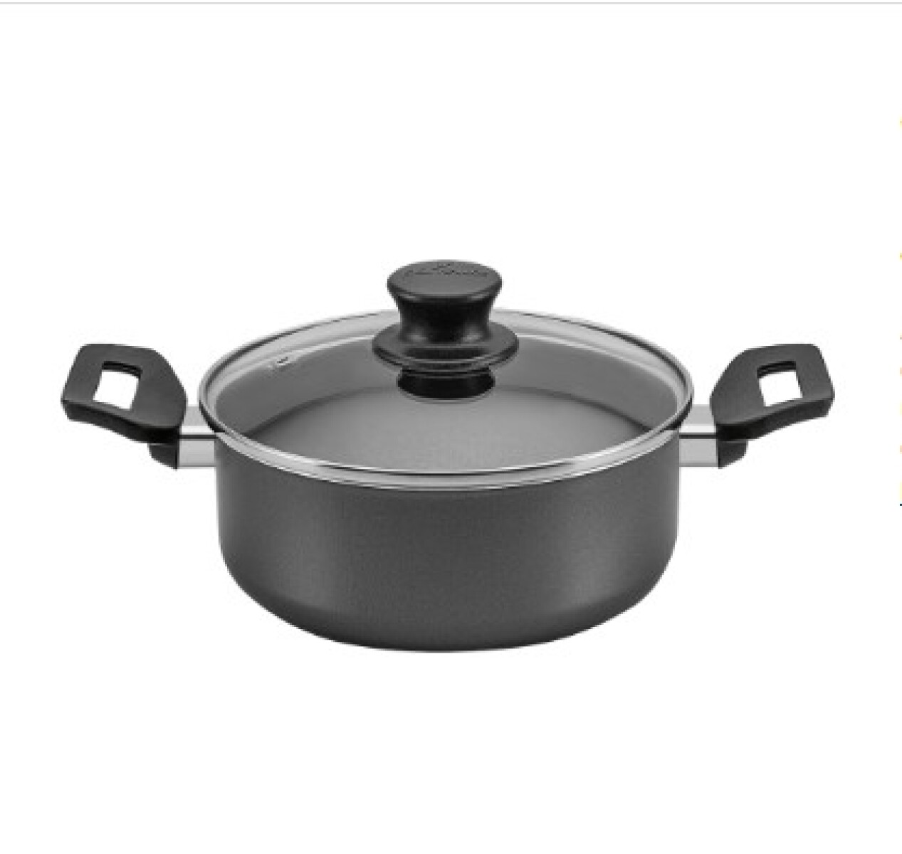 OLLA 18 CM GRIS LINEA MAGNIFIC TAPA TRANSPARENTE 