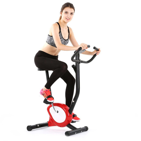 Bicicleta De Ejercicios Ergométrica Wedo Zerobike BICICLETA FIJA ERGOMETRICA OLT
