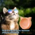 COMEDERO PARA GATO COMEDERO PARA GATO