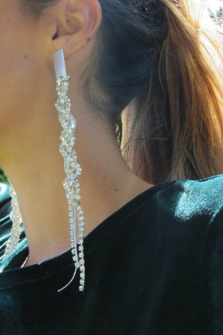 Snake Earrings Plateado