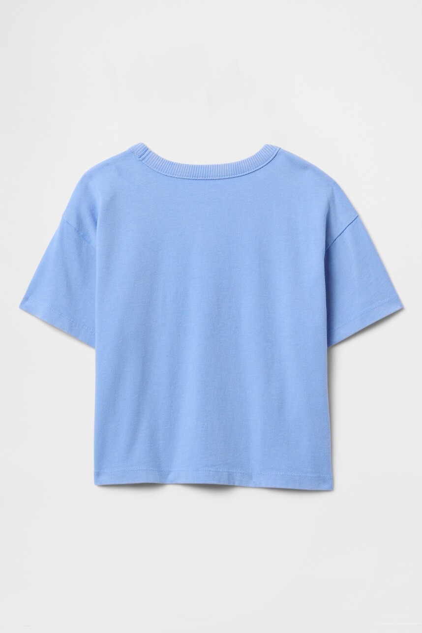 Remera Washed Toddler Niño Shirting Blue