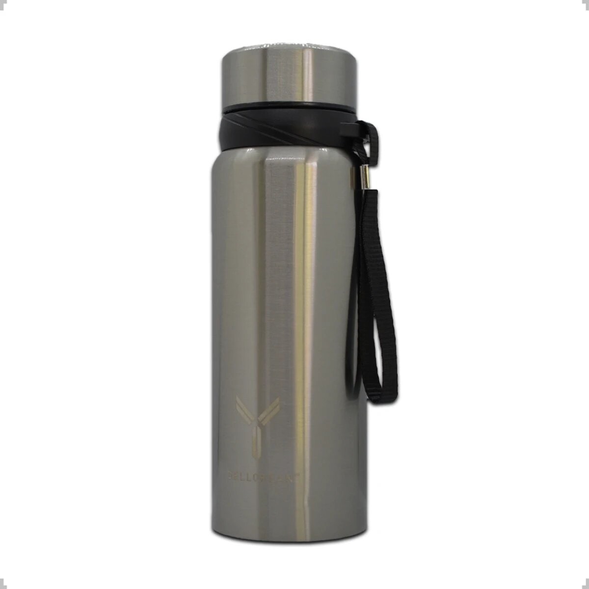 Termo Botella Termica Dellorean 600 ml Acero Inox Display Ax - Variante Color Gris 