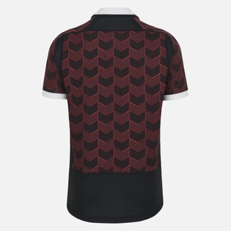 CAMISETA DE ENTRENAMIENTO WALES RUGBY CAMISETA DE ENTRENAMIENTO WALES RUGBY