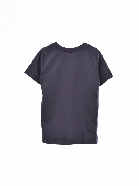 REMERA ESTAMPADA GRIS OSCURO