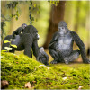 Familia de Gorilas Terra by Battat Familia de Gorilas Terra by Battat