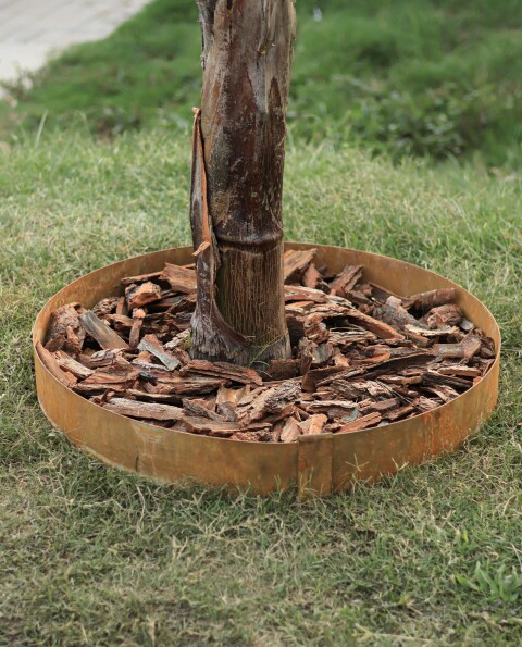 Fleje separador para árbol 10cm x D: 75cm - Acero 2mm