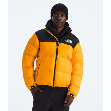 Campera de Pluma 1996 Nuptse hombre Summit Gold/tnf Black/r