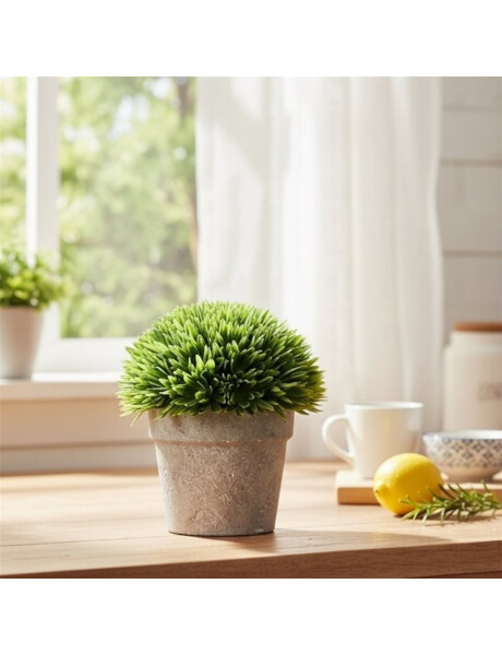 PLANTA LOTO EN MACETA H18X14CM PLANTA LOTO EN MACETA H18X14CM