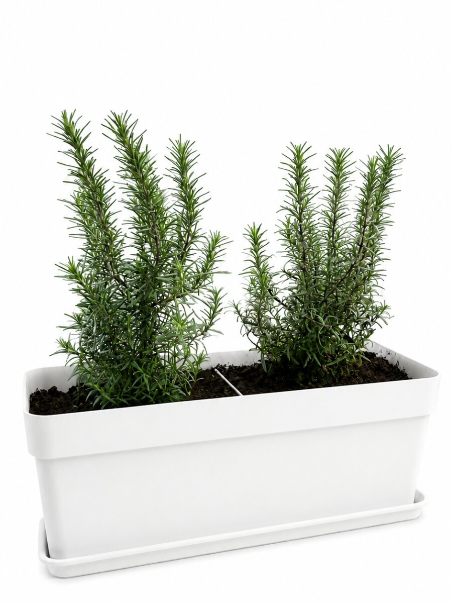 JARDINERA CON ROMEROS BLANCA